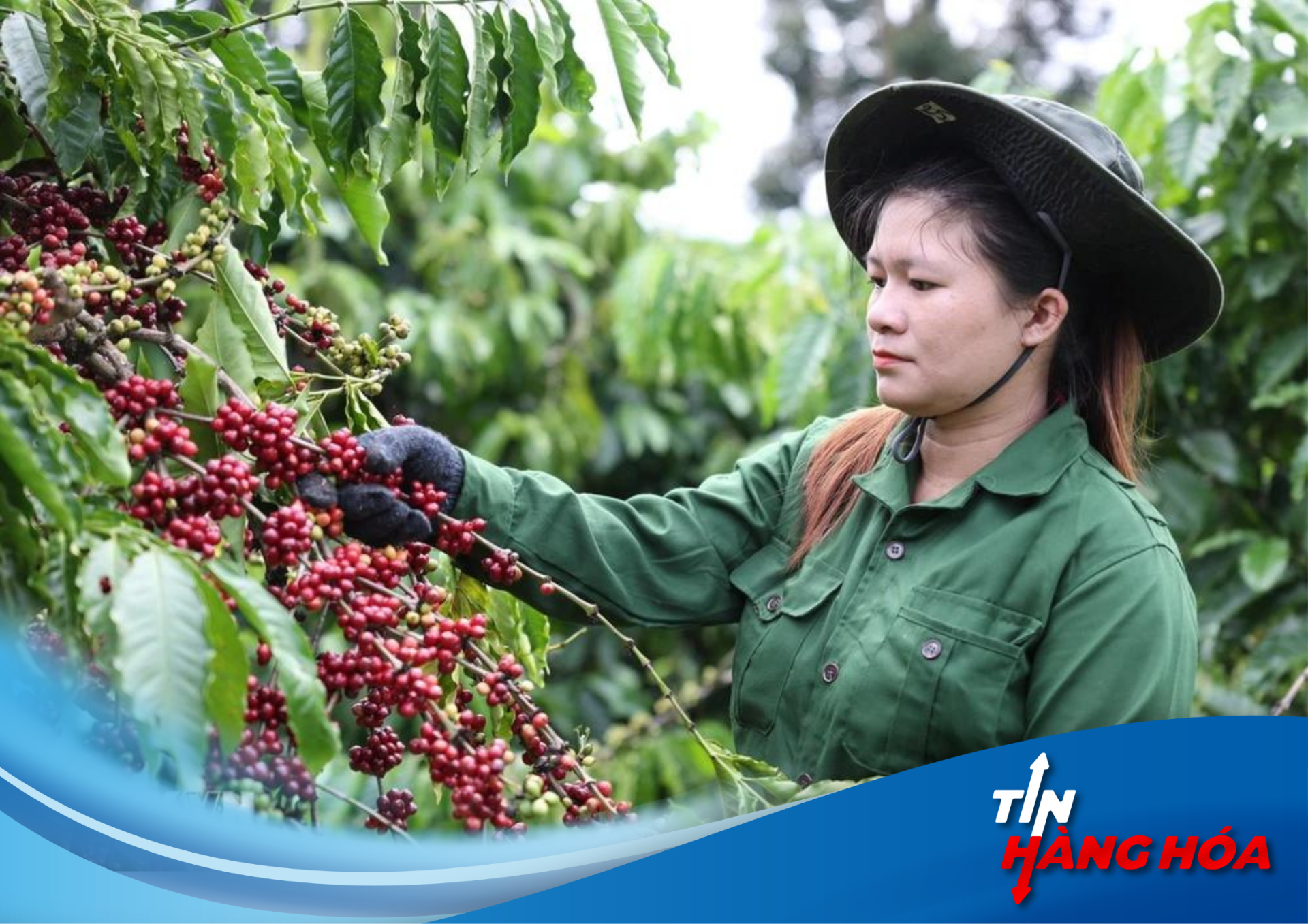 Điểm Tin N&ocirc;ng Sản Tuần Qua: Gạo Xuất Khẩu Cả Nước Đạt 6,16 Triệu Tấn